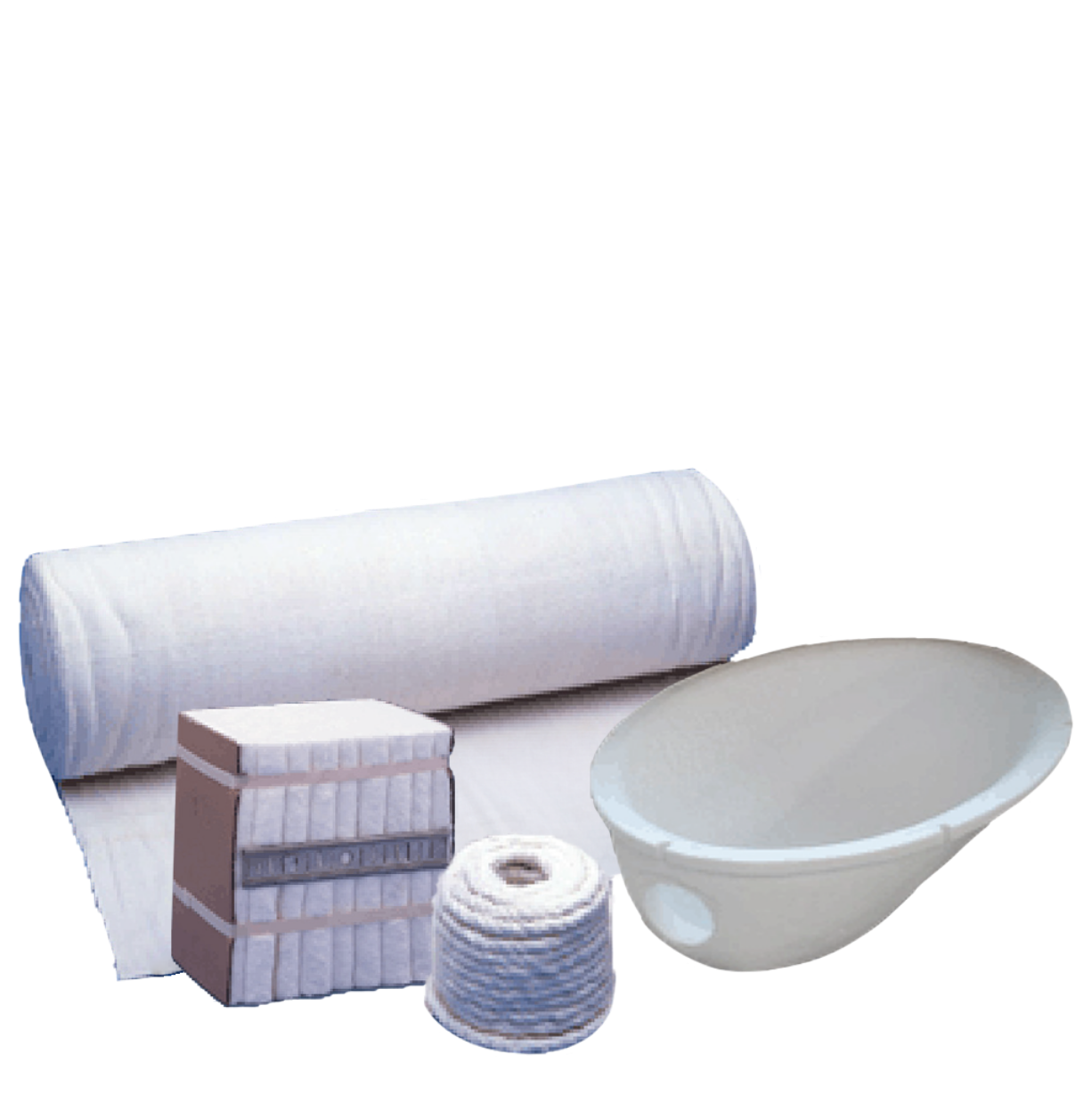 CO₂ファストビュー画像